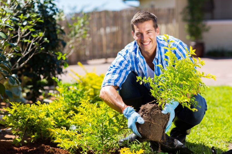 Contact About Shrub Uprooting