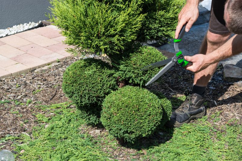 Shrub Uprooting