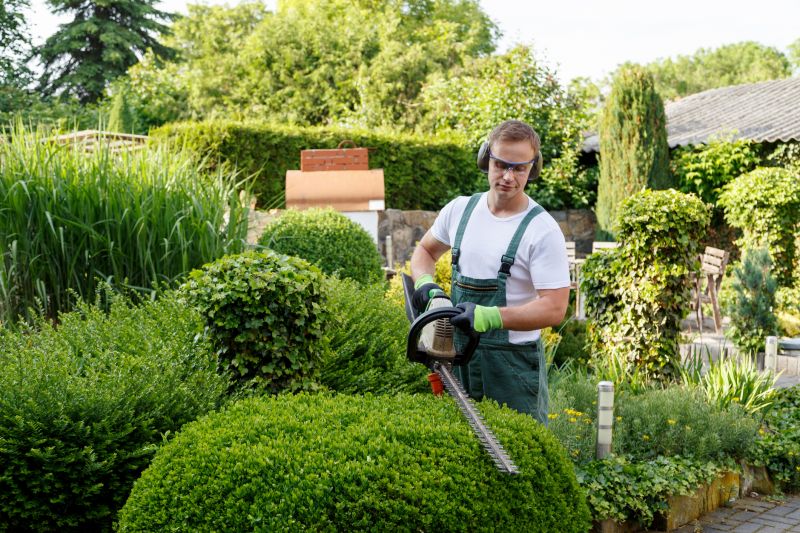 Evergreen Hedge Trimming in Honolulu, HI