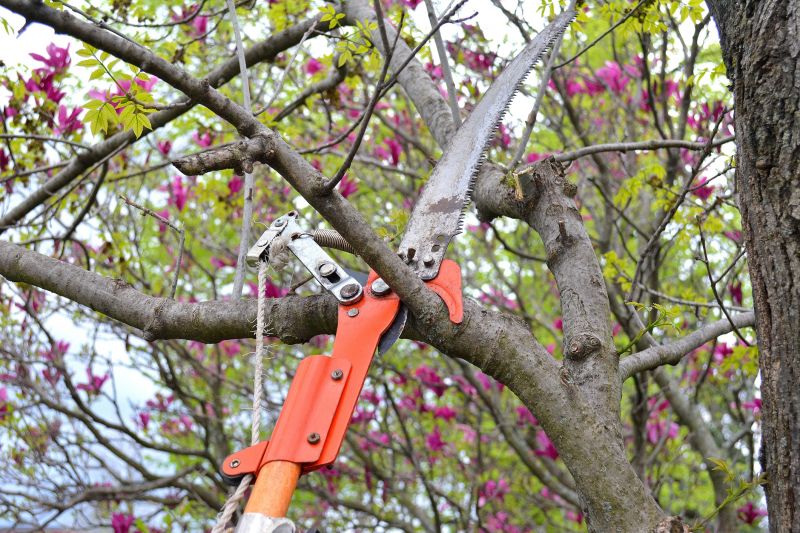 Limb Pruning in Pottstown, PA