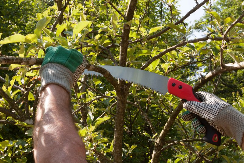 Peach Tree Pruning in Pottstown, PA